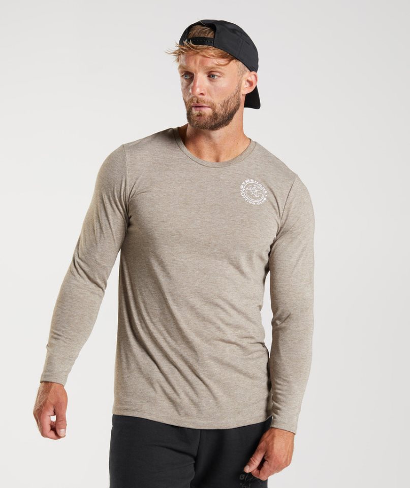 Koszulki Gymshark Legacy Long Sleeve Męskie Szare | PL 793HLS